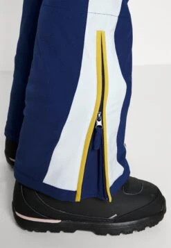 Roxy Peak Chic - Snowboardbroek - Medieval Blue -Roxy Verkoopwinkel 3371cfc7eb4c416d9eccc38df0a5cb95