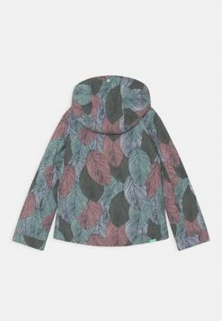 Roxy Jet Ski Girl- Snowboardjas - Fair Aqua -Roxy Verkoopwinkel 3677893bdab34ff6aea306e13b0c21ab