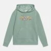 Roxy WildestdreamshaUnisex - Hoodie - Blue Surf -Roxy Verkoopwinkel c29813924bd84647b7cf3cf14181b9f2
